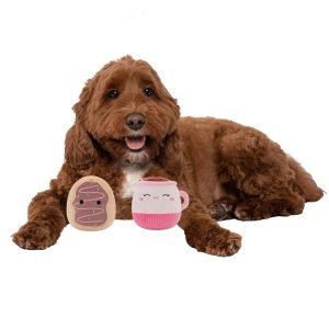 2-Pack Squeaky Plush Dog Toy (Cafe – Emery & Deja)