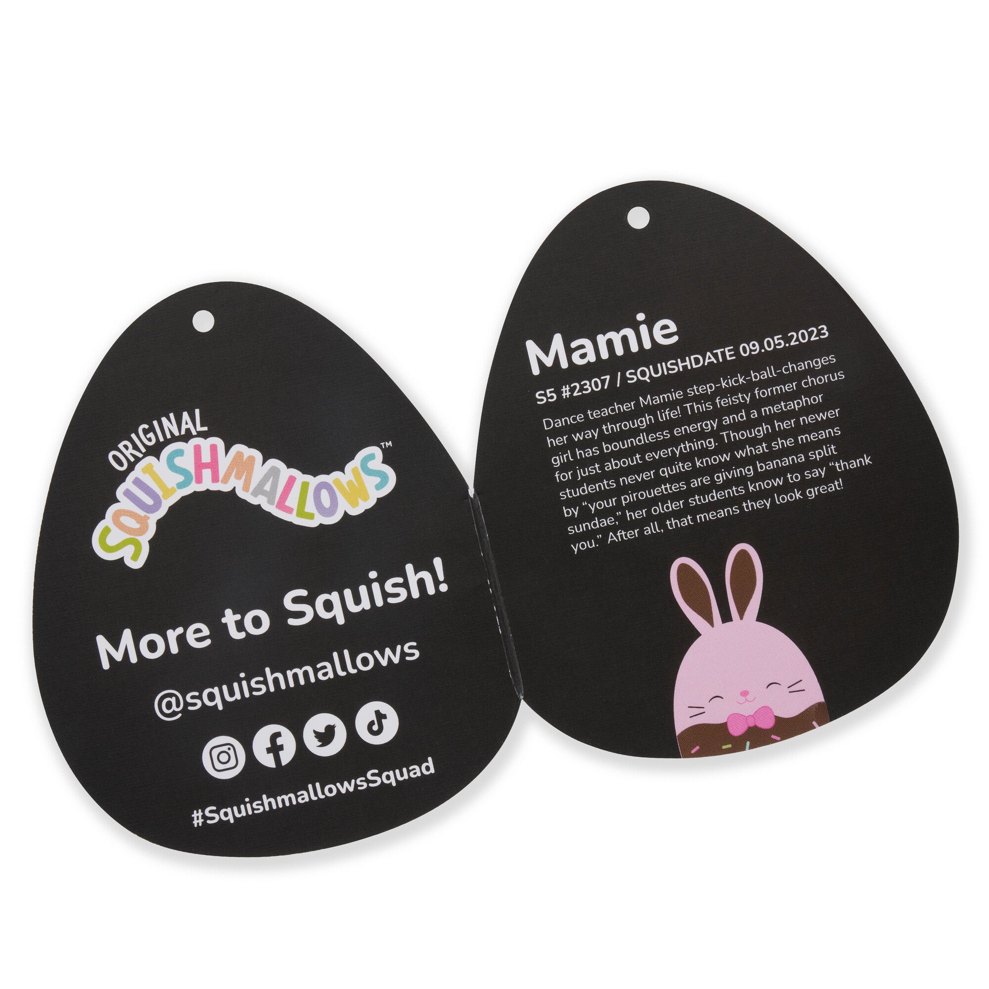 SQCR05118SQK-Squishmallows-5InchLittlePlush-EasterChocolateBunnymultipapck-Mamie-SELECTSERIES-OP-TagOpen-lpr.jpg